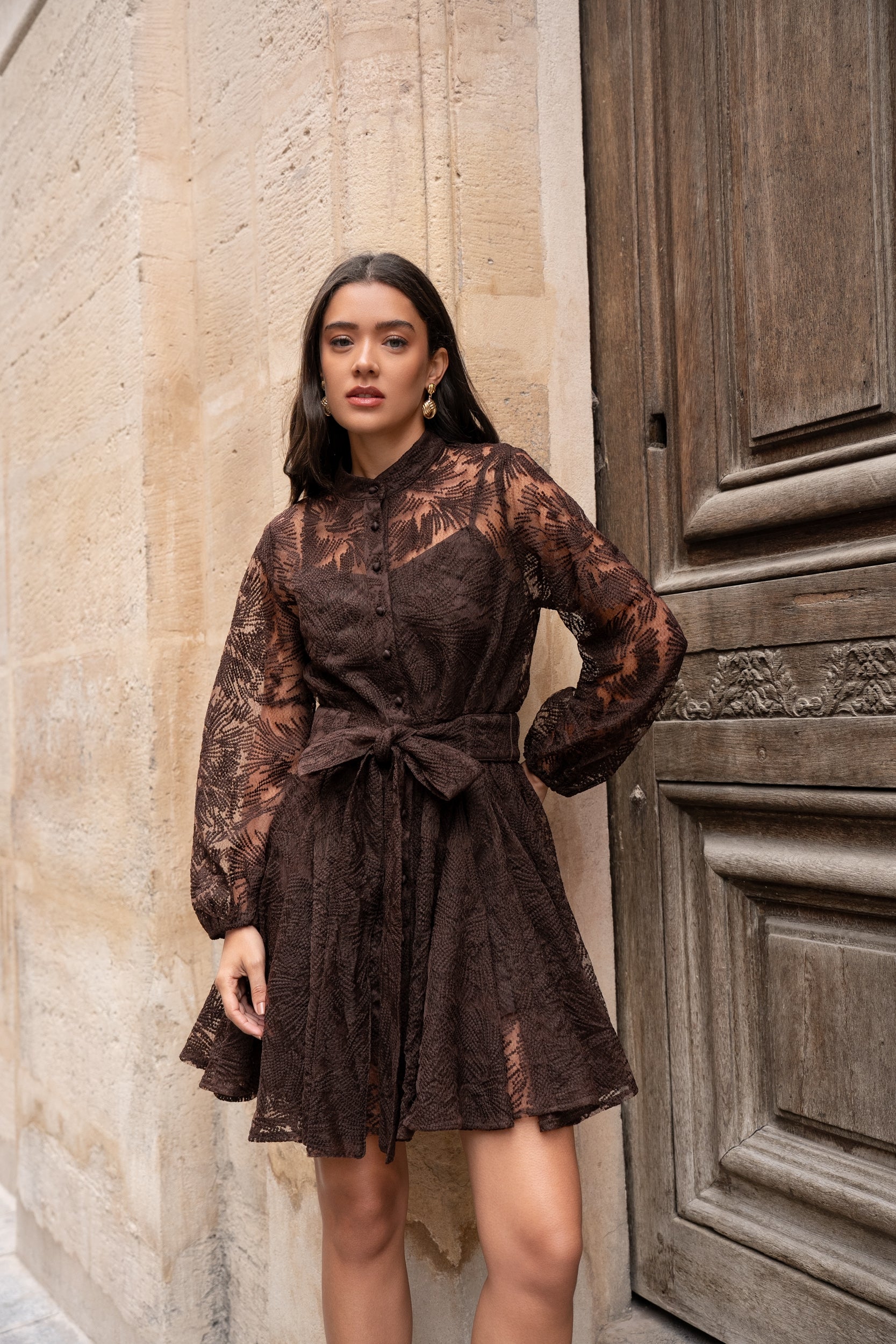 Sonia lace skater dress